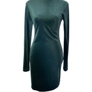 H&M Velvet Bodycon Dress (Size S)